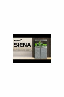Fluval Siena 272 Aquarium & Cabinet - White -UK Pet Equipment Sales Store hqdefault 50