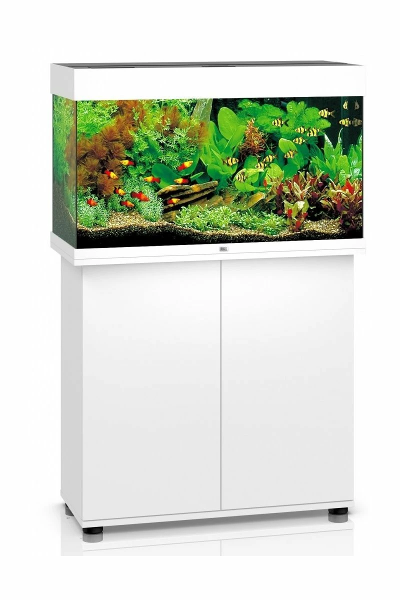 Juwel Rio 125 LED Aquarium & Cabinet 9 Juwel Rio 125 LED Aquarium & Cabinet - Image 7