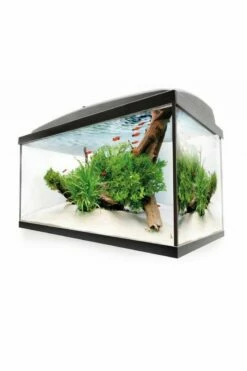 Aquael Leddy XL 60 Day And Night - 72 Litres - Black -UK Pet Equipment Sales Store leddy60 1 1