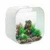 OASE Biorb Life 30 Aquarium With MCR LED Light - White -UK Pet Equipment Sales Store life 20 mcr white