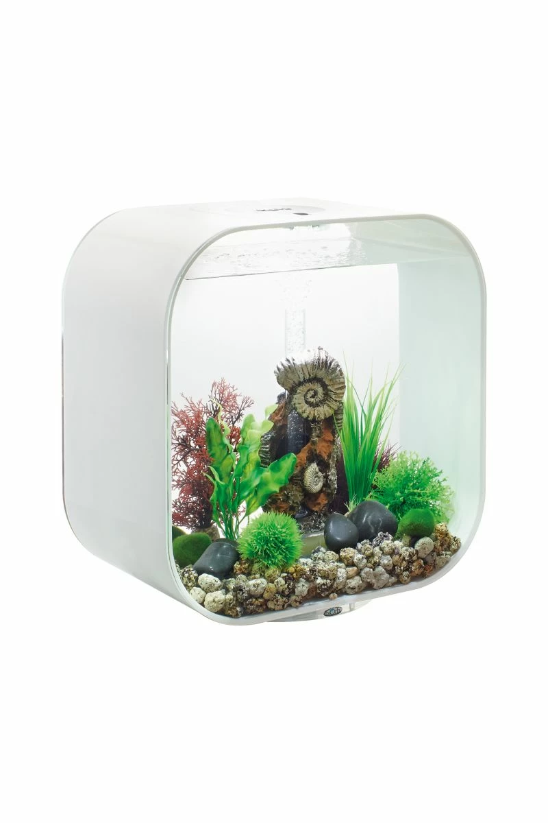 OASE Biorb Life 30 Aquarium With MCR LED Light - White 3 OASE Biorb Life 30 Aquarium With MCR LED Light - White