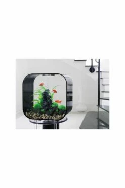 OASE Biorb Life 30 Aquarium With MCR LED Light - Black 6 OASE Biorb Life 30 Aquarium With MCR LED Light - Black -UK Pet Equipment Sales Store life30
