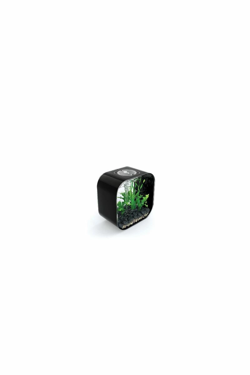 OASE Biorb Life 30 Aquarium With MCR LED Light - Black 3 OASE Biorb Life 30 Aquarium With MCR LED Light - Black