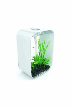 OASE Biorb Life 60 Aquarium With MCR LED Light - White