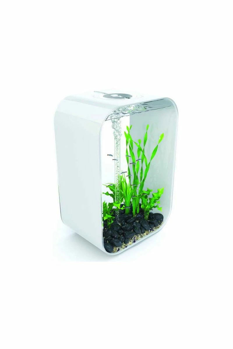 OASE Biorb Life 60 Aquarium With MCR LED Light - White 3 OASE Biorb Life 60 Aquarium With MCR LED Light - White