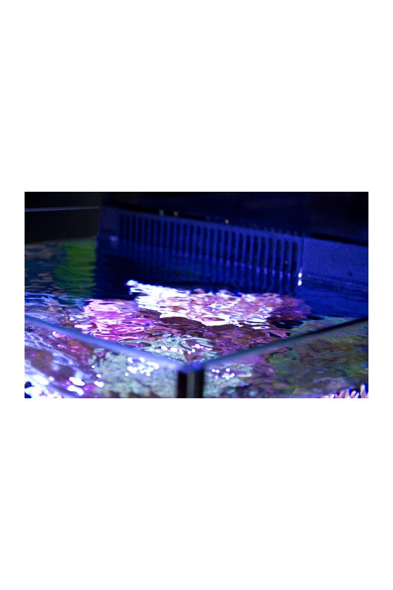 Red Sea Max Nano 75 Litre Aquarium & Black Cabinet R40000 5 Red Sea Max Nano 75 Litre Aquarium & Black Cabinet R40000 - Image 3