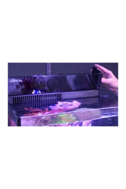 Red Sea Max Nano 75 Litre Aquarium (No Cabinet) R40002 -UK Pet Equipment Sales Store max nano screen