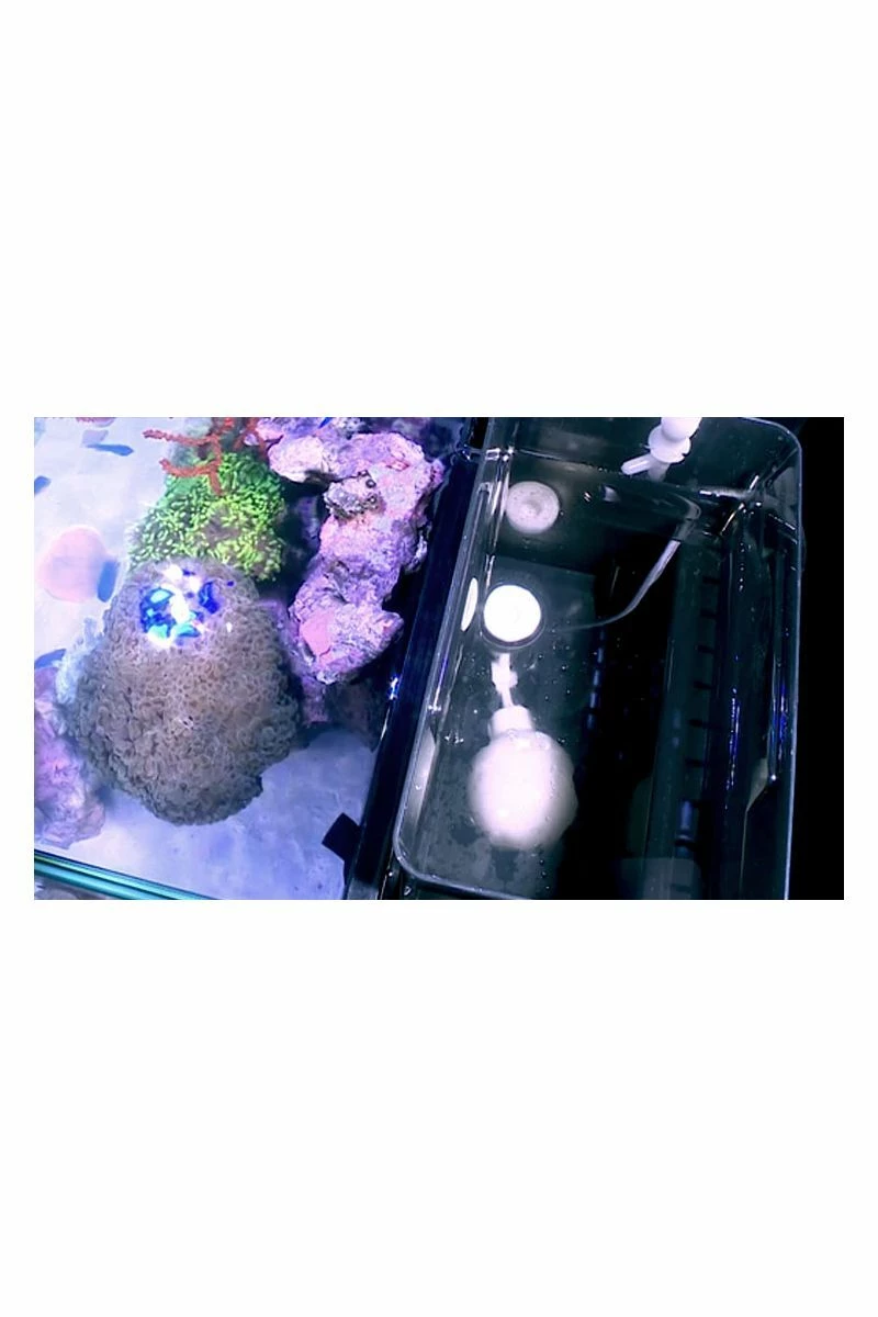 Red Sea Max Nano 75 Litre Aquarium & Black Cabinet R40000 7 Red Sea Max Nano 75 Litre Aquarium & Black Cabinet R40000 - Image 5