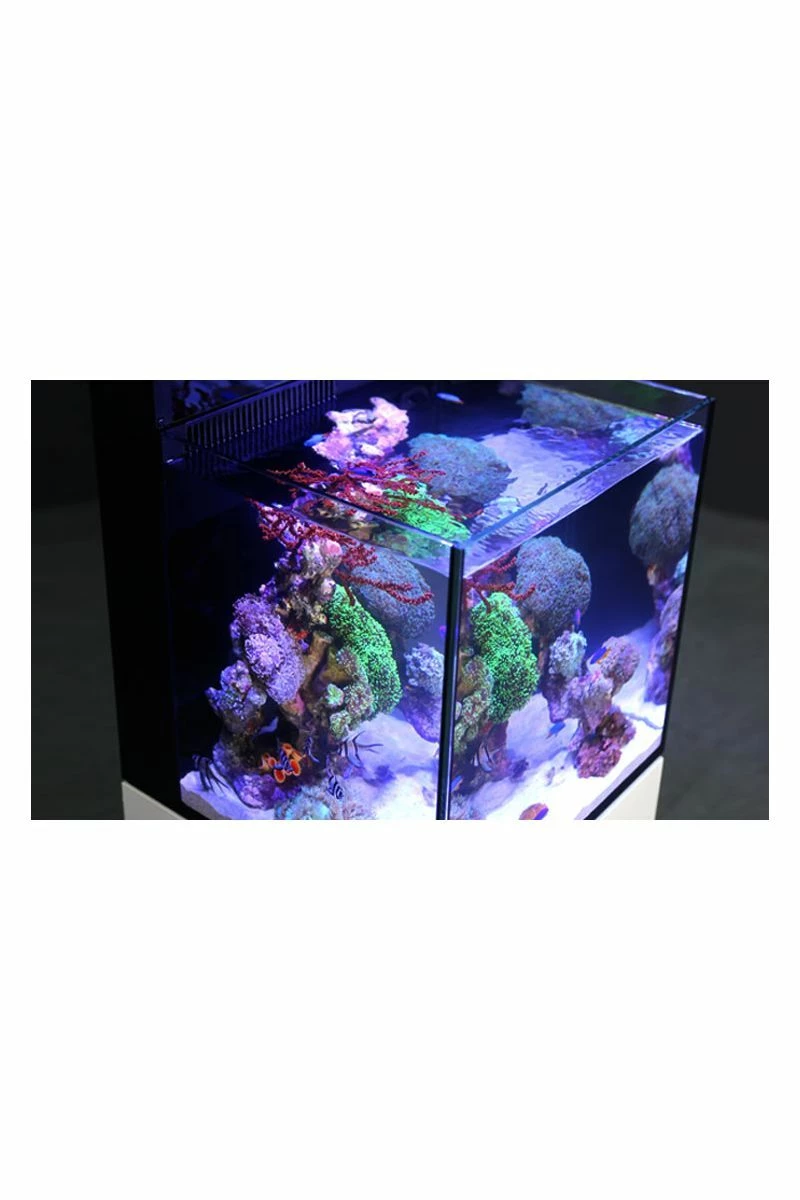Red Sea Max Nano 75 Litre Aquarium & Black Cabinet R40000 4 Red Sea Max Nano 75 Litre Aquarium & Black Cabinet R40000 - Image 2