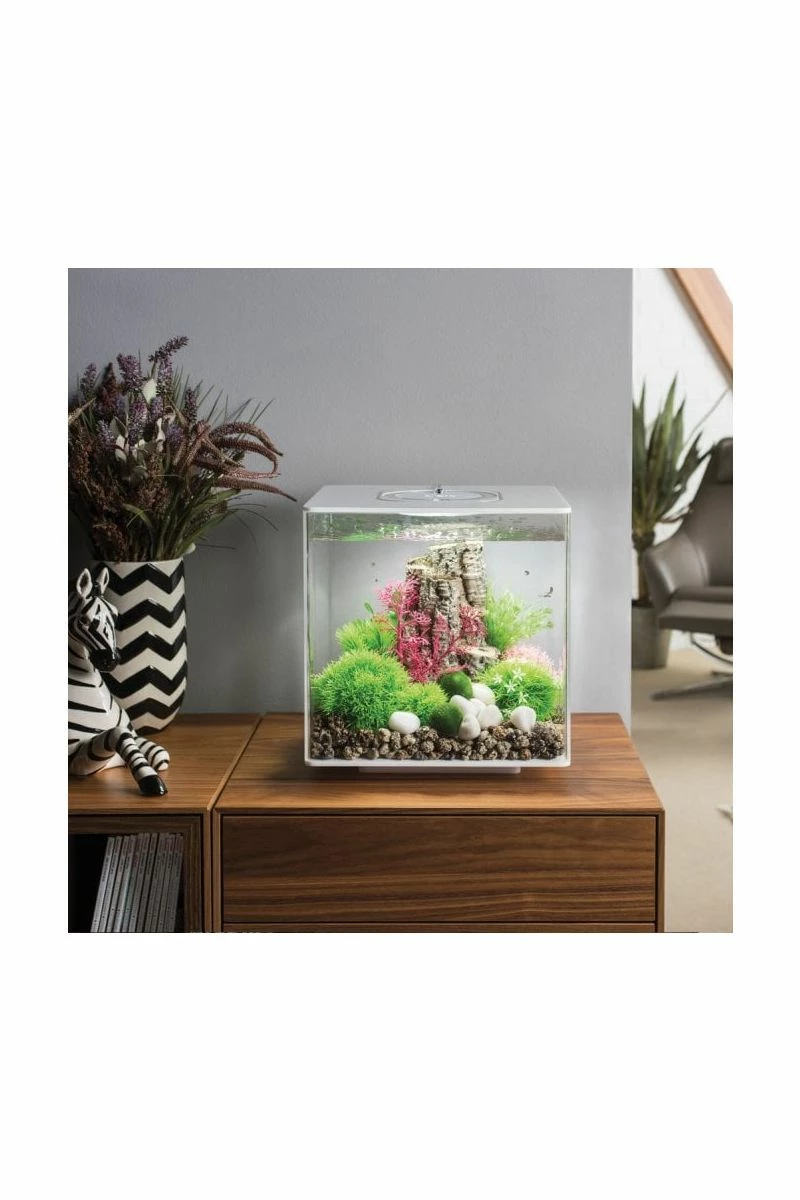 OASE BiOrb Cube 30 MCR White 4 OASE BiOrb Cube 30 MCR White - Image 2