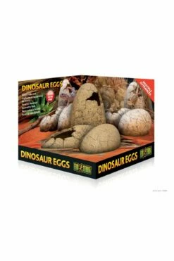 Exo Terra Dinosaur Eggs (PT2841)