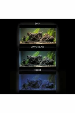 Aquael Opti Set 200 Aquarium & Cabinet - White 16 Aquael Opti Set 200 Aquarium & Cabinet - White -UK Pet Equipment Sales Store opti set day night