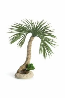 OASE BiOrb Palm Tree Seychelles Large