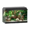 Juwel Primo 60 Aquarium - Black