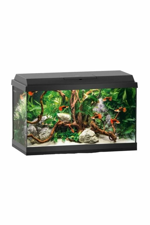 Juwel Primo 60 Aquarium - Black 1 Juwel Primo 60 Aquarium - Black -UK Pet Equipment Sales Store primo60 tank