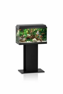 Juwel Primo 60 Aquarium - Black 8 Juwel Primo 60 Aquarium - Black -UK Pet Equipment Sales Store primo60 tank stand