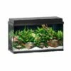 Juwel Primo 70 Aquarium - Black