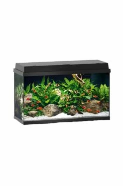 Juwel Primo 70 Aquarium - Black