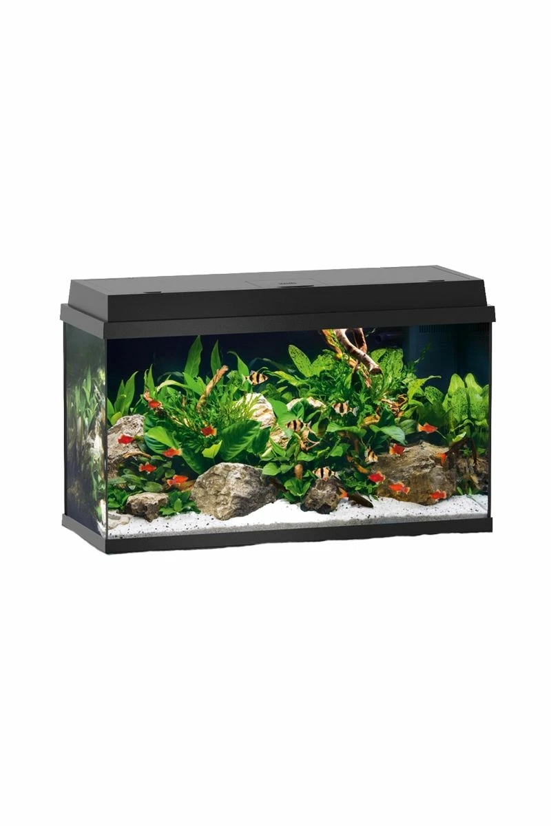 Juwel Primo 70 Aquarium - Black 3 Juwel Primo 70 Aquarium - Black
