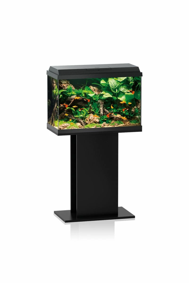 Juwel Primo 70 Aquarium - Black 4 Juwel Primo 70 Aquarium - Black - Image 2