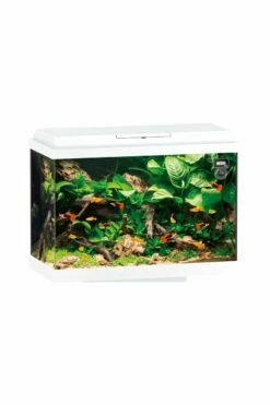 Juwel Primo 70 Aquarium - White