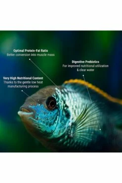 Tetra Pro Colour 10L Bucket -UK Pet Equipment Sales Store pro crisp bucket3