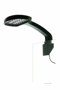 Exo Terra Day & Night LED Small - (14 White, 1 Blue LED) -UK Pet Equipment Sales Store product day night led large pt2336 1