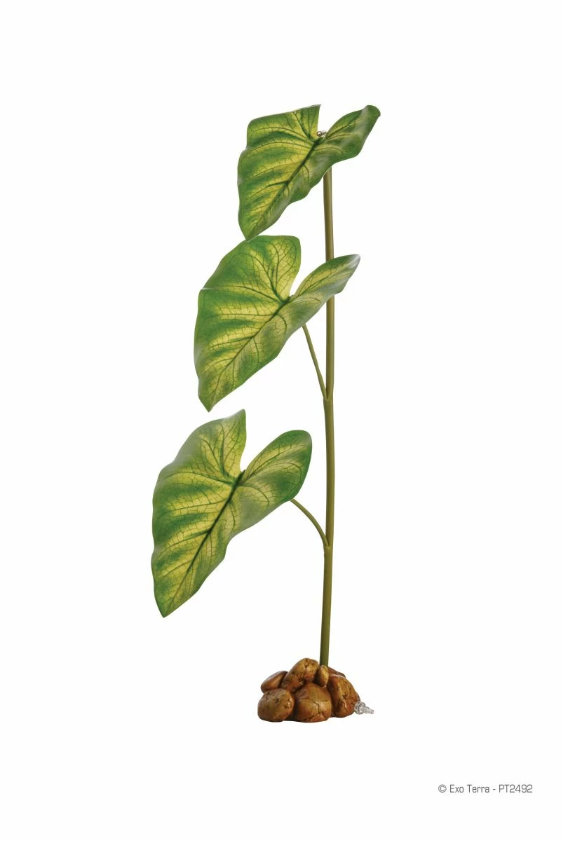 Exo Terra Dripper Plant (PT2492) 4 Exo Terra Dripper Plant (PT2492) - Image 2