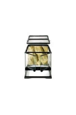 Exo Terra Glass Terrarium Mini/Wide 30x30x30cm PT2600 -UK Pet Equipment Sales Store pt2600 2