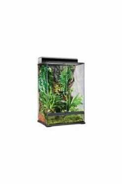 Exo Terra Glass Terrarium Nano/Tall 20x20x30cm PT2601 -UK Pet Equipment Sales Store pt2601 1