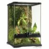 Exo Terra Glass Terrarium Mini/Tall 30x30x45cm PT2602 1 Exo Terra Glass Terrarium Mini/Tall 30x30x45cm PT2602 -UK Pet Equipment Sales Store pt2602 1