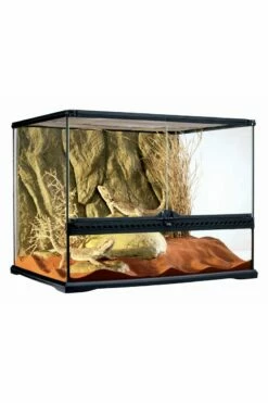 Exo Terra Glass Terrarium Medium/Wide 60x45x45cm PT2610