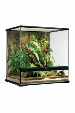 Exo Terra Glass Terrarium Medium/Tall 60x45x60cm PT2612