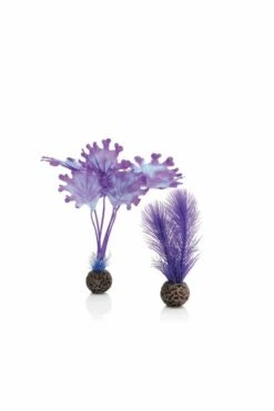 OASE BiOrb Purple Kelp Plants - Size Small 20cm