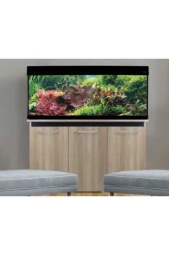 UK Pet Equipment Sales Store -UK Pet Equipment Sales Store screenshot 2021 07 06 at 22.22.17 1