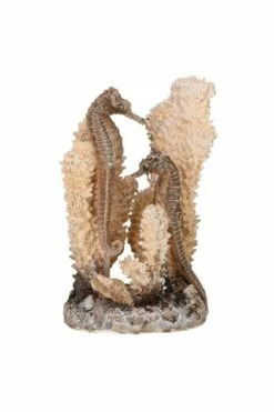 OASE BiOrb Seahorses On Coral Natural - Small