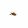 Bulk Silent Crickets Small/Medium 6mm To 8mm (approx 1000)