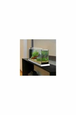 Fluval Spec - 19L White -UK Pet Equipment Sales Store spec 19 white