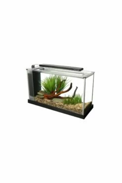 Fluval Spec - 19L Black -UK Pet Equipment Sales Store spec1