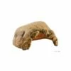 Exo Terra Tortoise Cave (PT2922) -UK Pet Equipment Sales Store tortoise cave pt2922