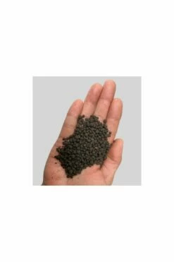 UK Pet Equipment Sales Store -UK Pet Equipment Sales Store volcanic